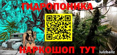 индика Тара