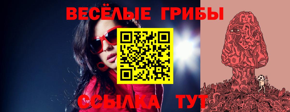 Псилоцибиновые грибы Magic Shrooms  Вход с VPN  Заводоуковск 